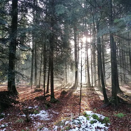Fewo-turmblick-rottweil *
